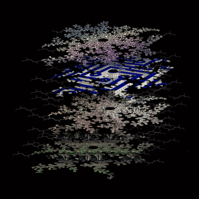 Slime mold
